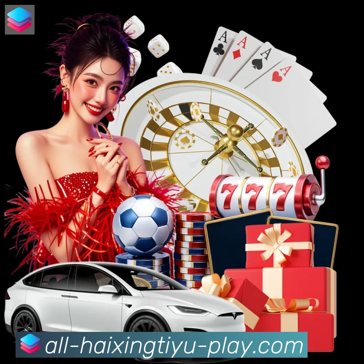 未来规划